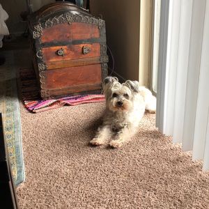 Meet your Posher, Aaron